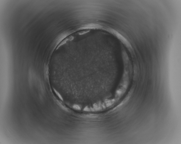 X0000111421329200908241124
