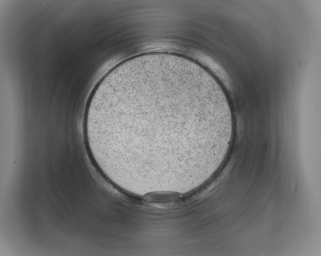 X0000111421330200908241124