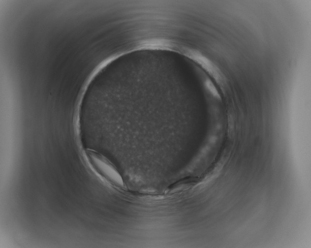 X0000111421331200908241124