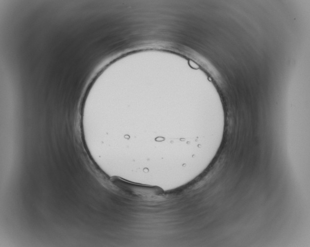 X0000111421332200908241124