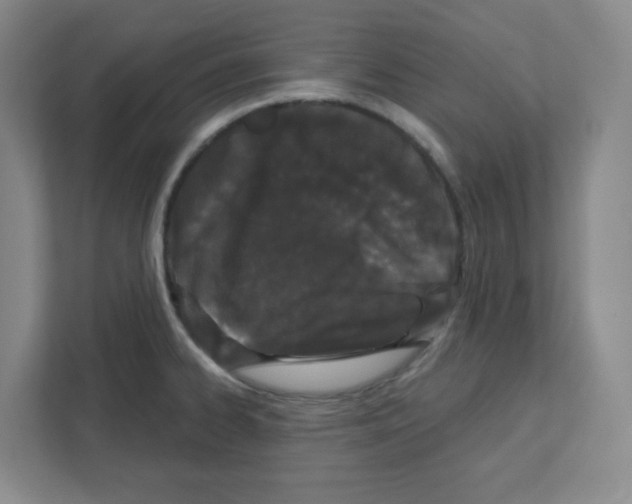 X0000111421334200908241124