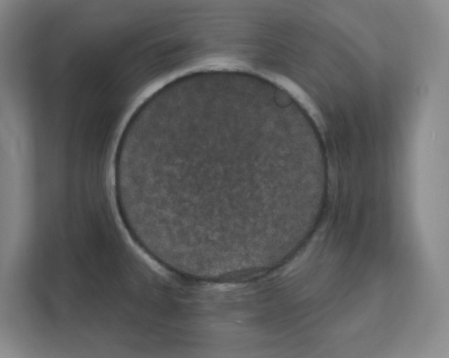 X0000111421335200908241124