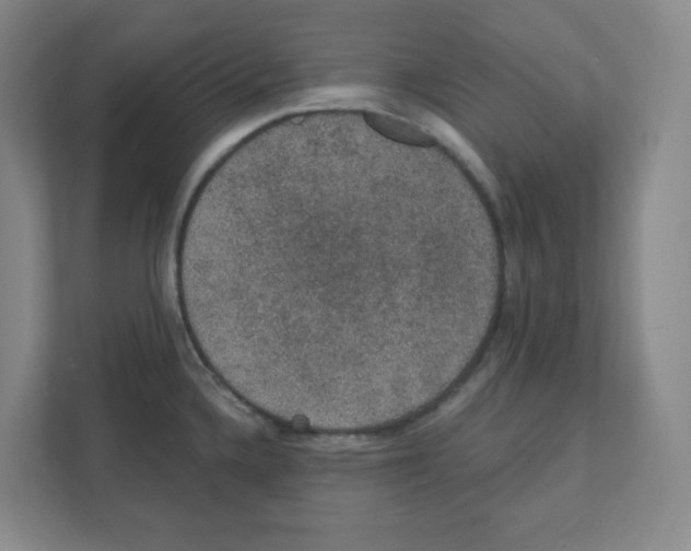 X0000111421336200908241124