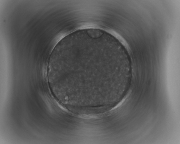 X0000111421337200908241124