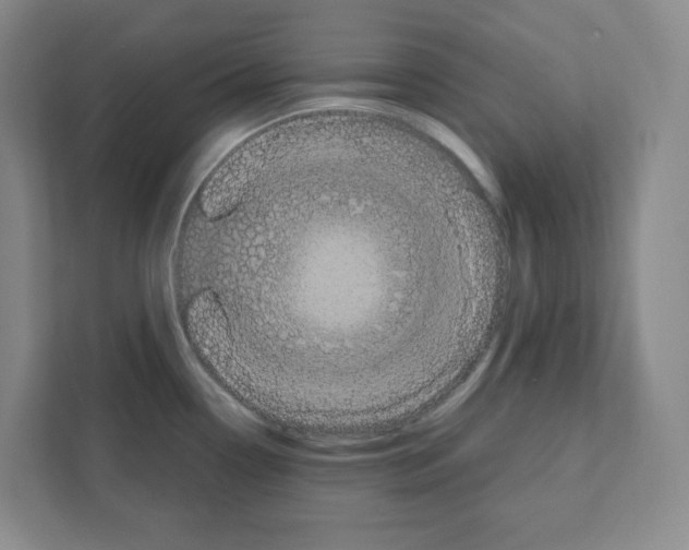 X0000111421338200908241124