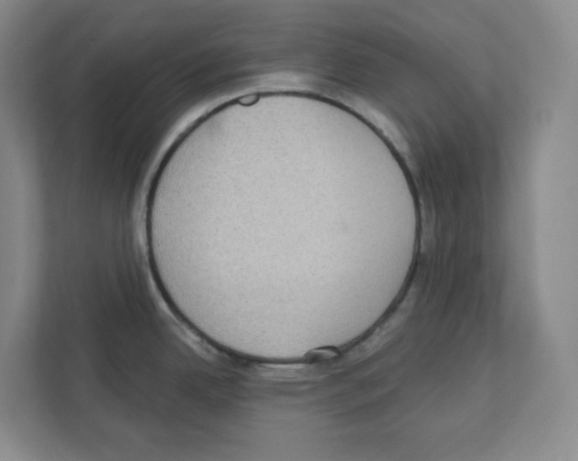 X0000111421342200908241124