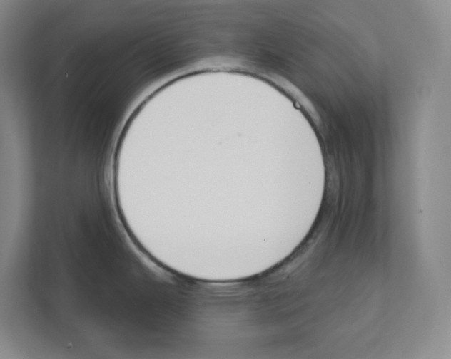 X0000111421343200908241124