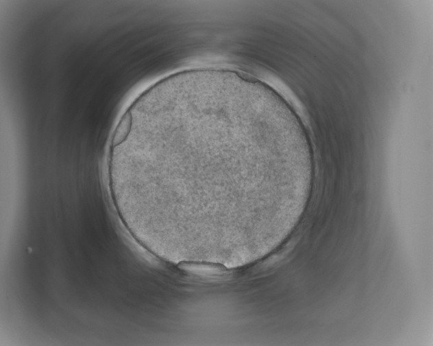 X0000111421344200908241124