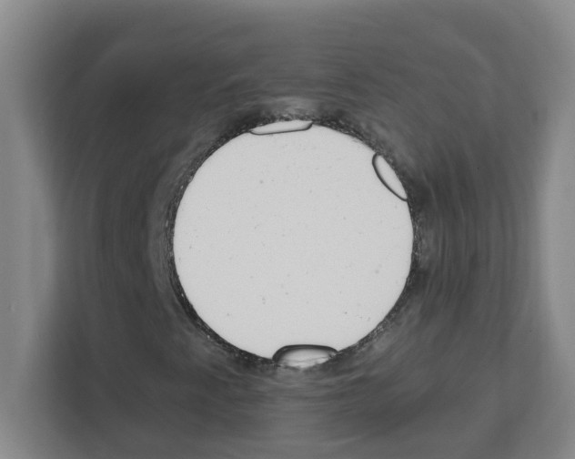 X0000111421345200908241124
