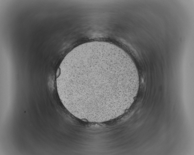 X0000111421348200908241124