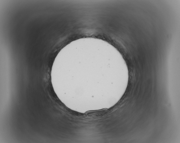 X0000111421349200908241124