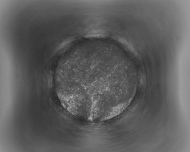 X0000111421350200908241124