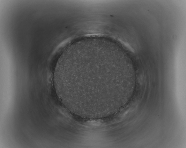 X0000111421351200908241124