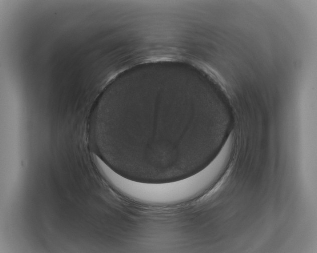 X0000111421353200908241124