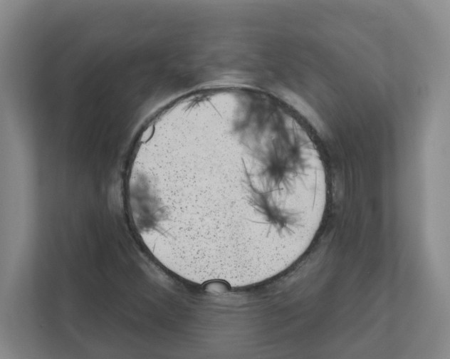 X0000111421356200908241124