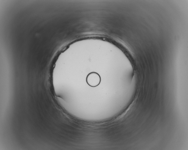 X0000111421357200908241124