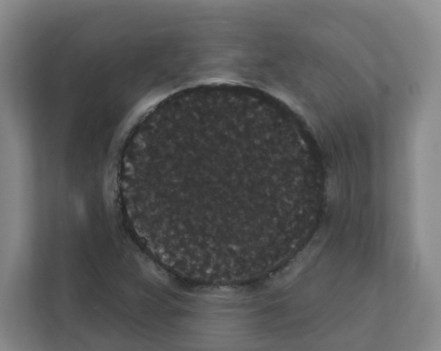 X0000111421359200908241124