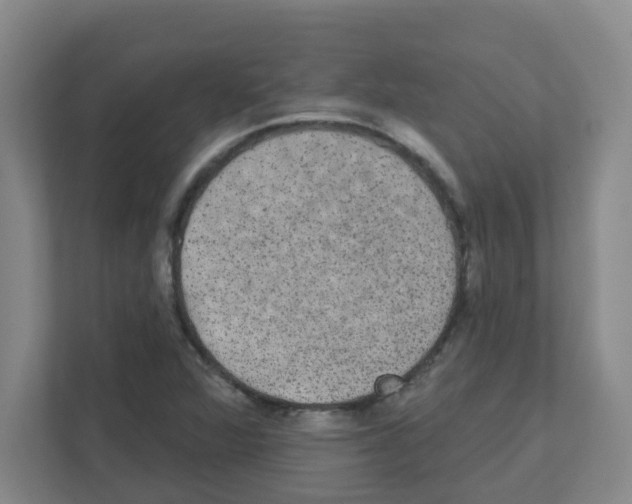 X0000111421360200908241123