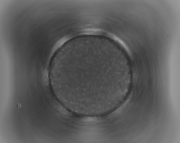 X0000111421362200908241123