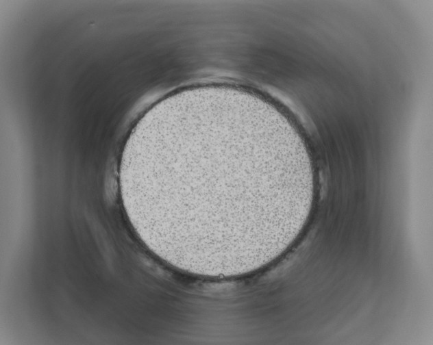 X0000111421363200908241123
