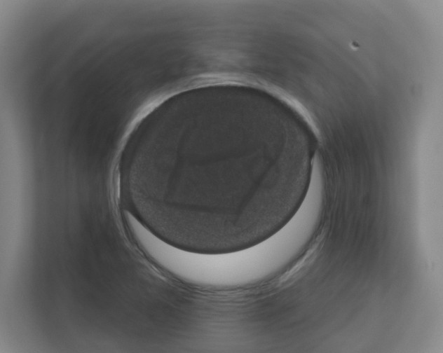 X0000111421365200908241123