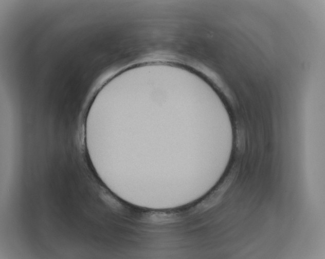 X0000111421366200908241123