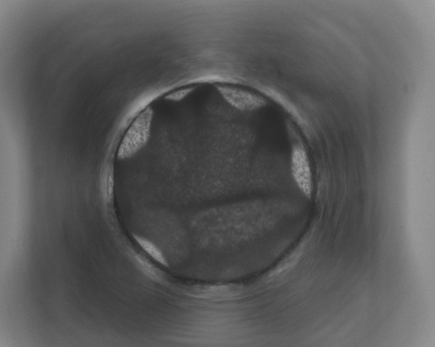 X0000111421367200908241123