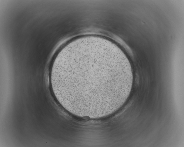 X0000111421368200908241123