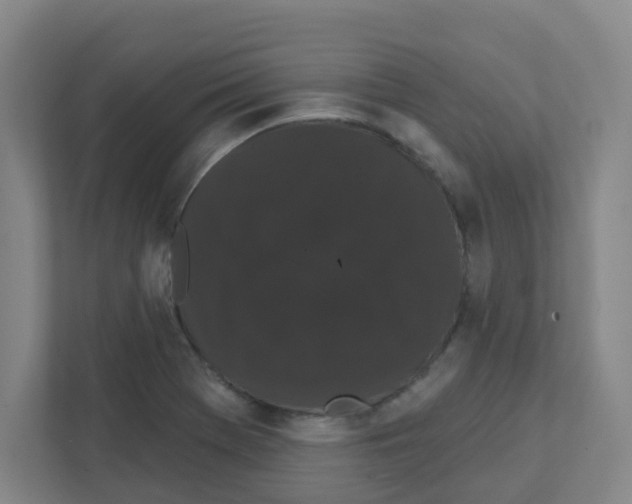 X0000111421369200908241123