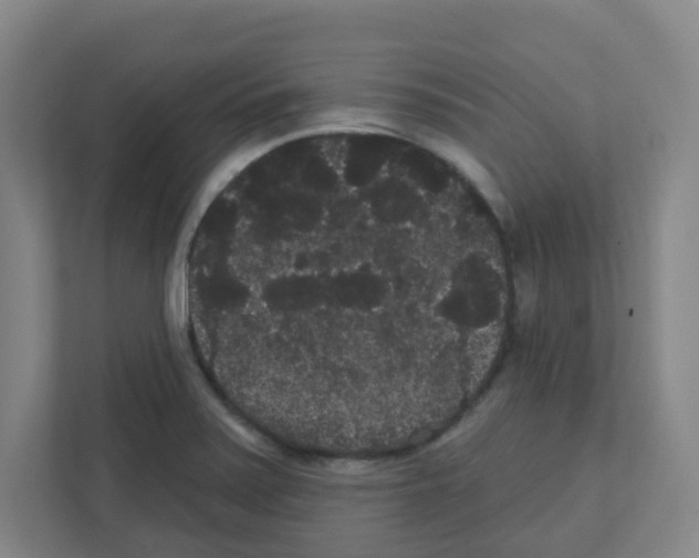 X0000111421371200908241123