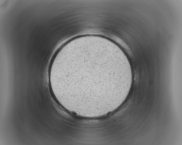 X0000111421372200908241123