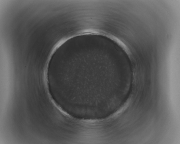 X0000111421373200908241123