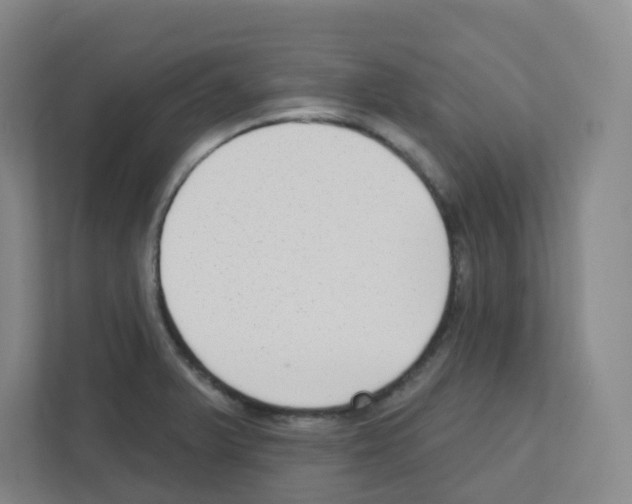 X0000111421375200908241123