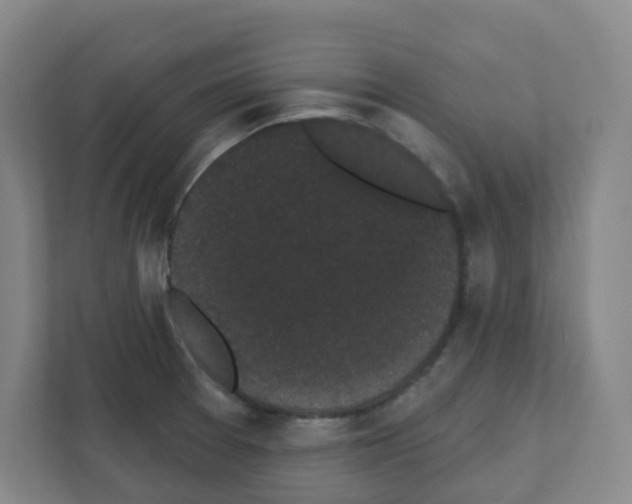 X0000111421377200908241123