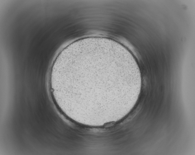 X0000111421379200908241123