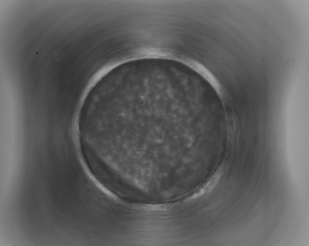 X0000111421381200908241123