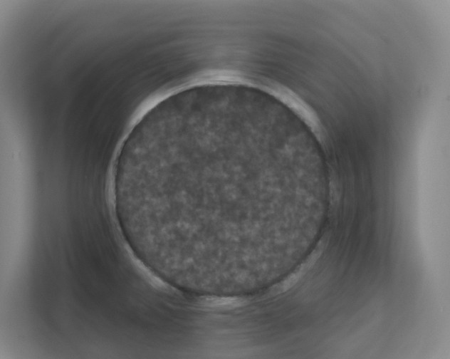 X0000111421382200908241123