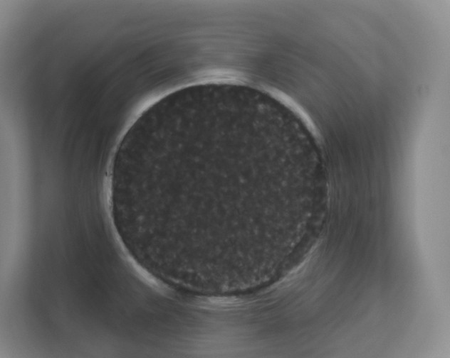 X0000111421383200908241123