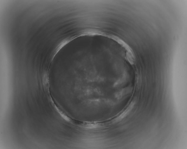 X0000111421385200908241123