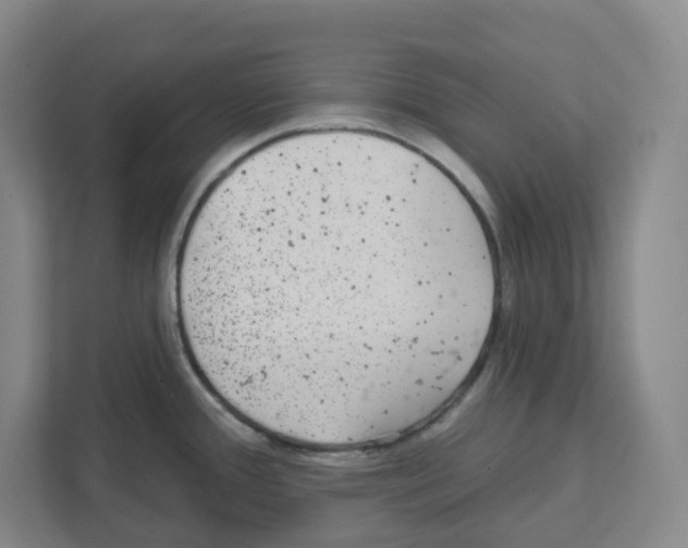 X0000111421388200908241123