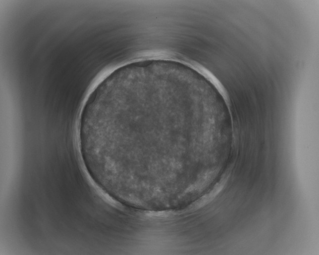 X0000111421389200908241123
