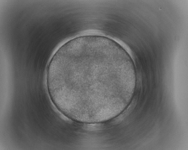 X0000111421390200908241123