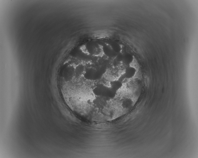 X0000111421393200908241122