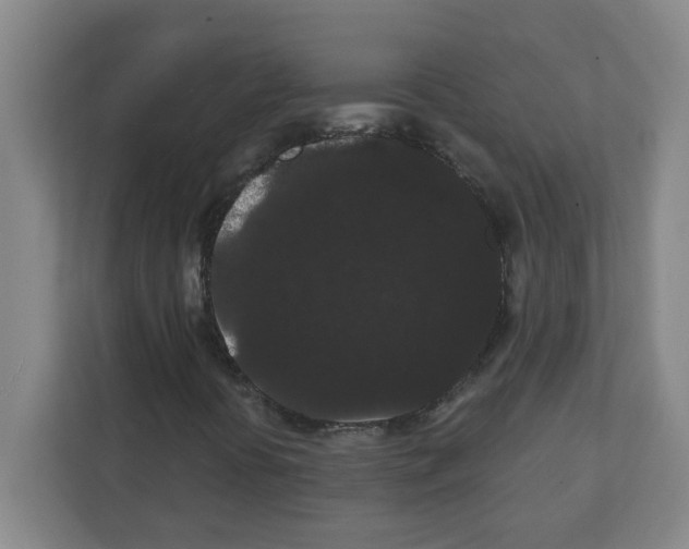 X0000111421394200908241122