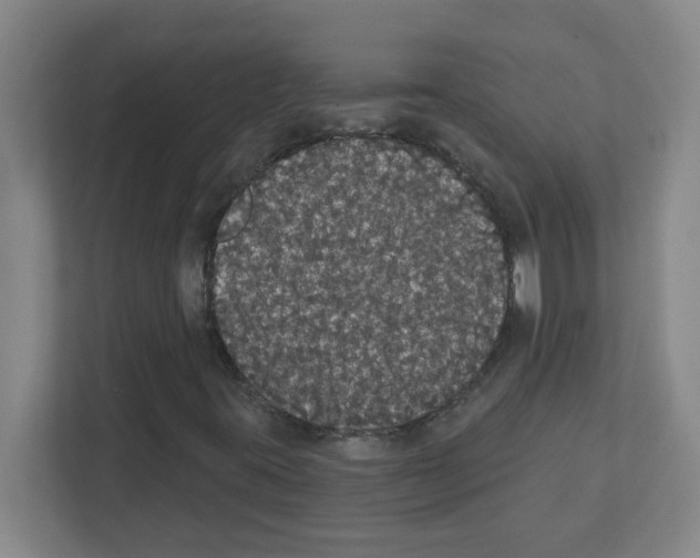 X0000111421395200908241122