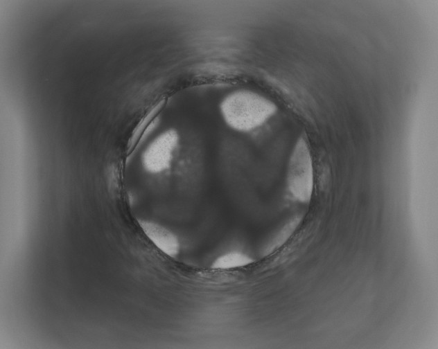 X0000111421397200908241123