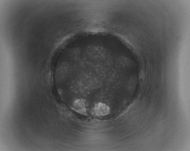 X0000111421398200908241123
