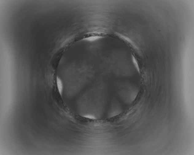 X0000111421399200908241123