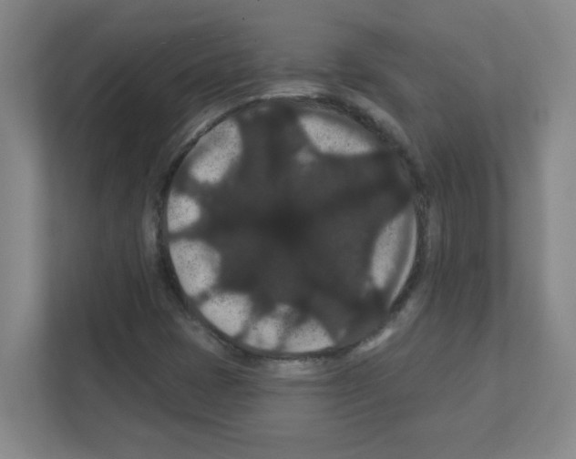 X0000111421401200908241123