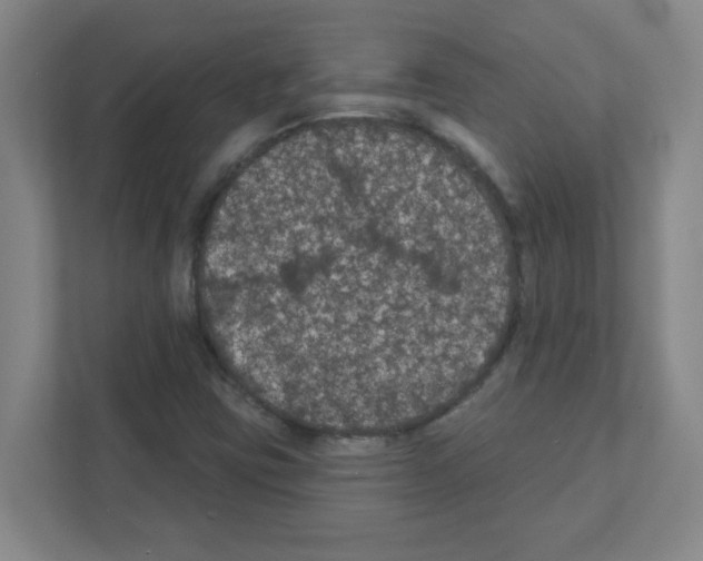 X0000111421403200908241123